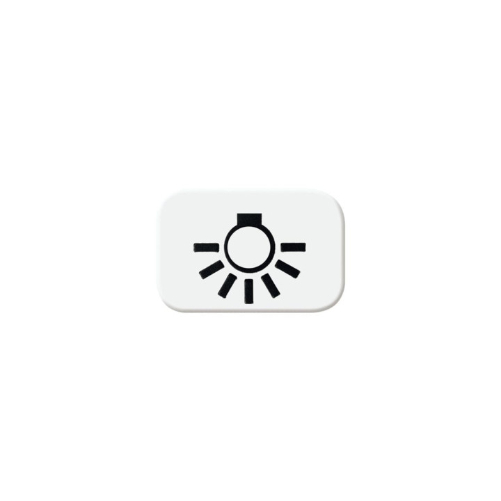 Busch-Jaeger 2525 LI-214 Tastersymbol Licht