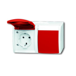 Busch-Jaeger 20/2 EW/DVN-54 SCHUKO® Steckdose 2-fach, с вращающимся клапаном