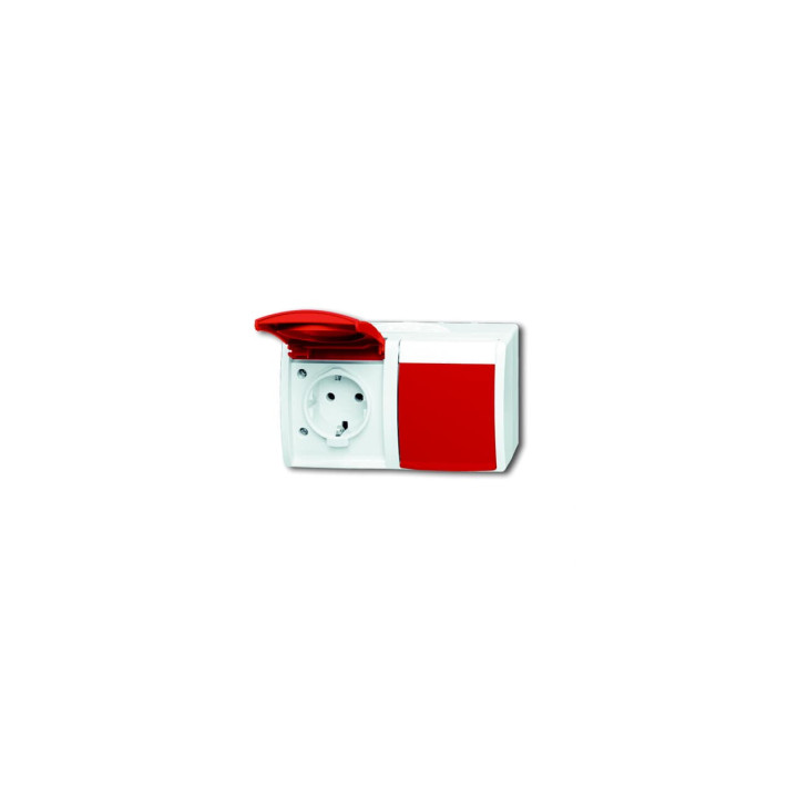 Busch-Jaeger 20/2 EW/DVN-54 SCHUKO® Steckdose 2-fach, с вращающимся клапаном