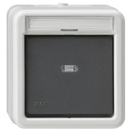 GIRA 011231 Wipp-Kontrollschalter Aus 2-pol Beschriftungsfeld WD AP Grau