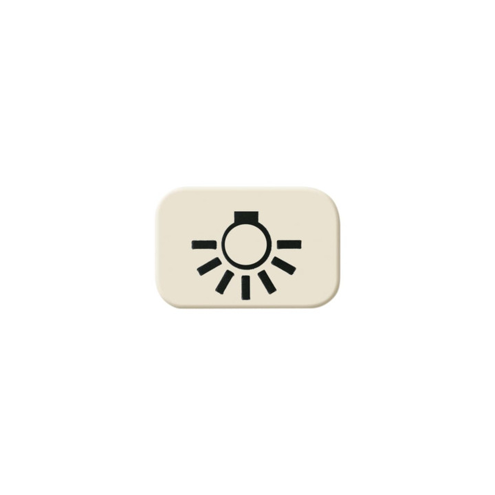 Busch-Jaeger 2525 LI Tastersymbol Licht