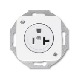 Busch-Jaeger 3016 EUC-214-101 Busch-Nema Steckdosen-Einsatz mit Zentralscheibe 2-polig (2 P + E), 20 A