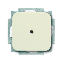 Busch-Jaeger 2538-212 Blindzentralscheibe mit Tragring