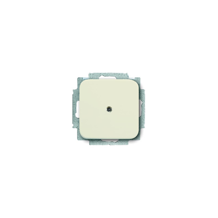 Busch-Jaeger 2538-212 Blindzentralscheibe mit Tragring