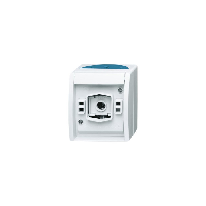 Busch-Jaeger 2661 W-53 Lichtsignal mit E 10-Gewinde