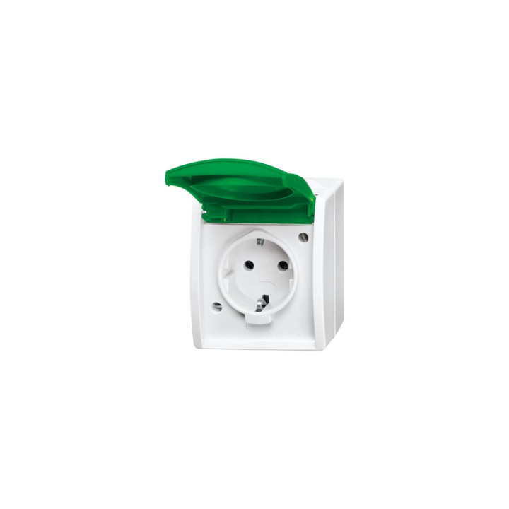 Busch-Jaeger 20 EWN-13-54 SCHUKO® Steckdose mit grünem Klappdeckel