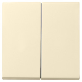 GIRA 029501 Wippe 2f System 55 Cremeweiß