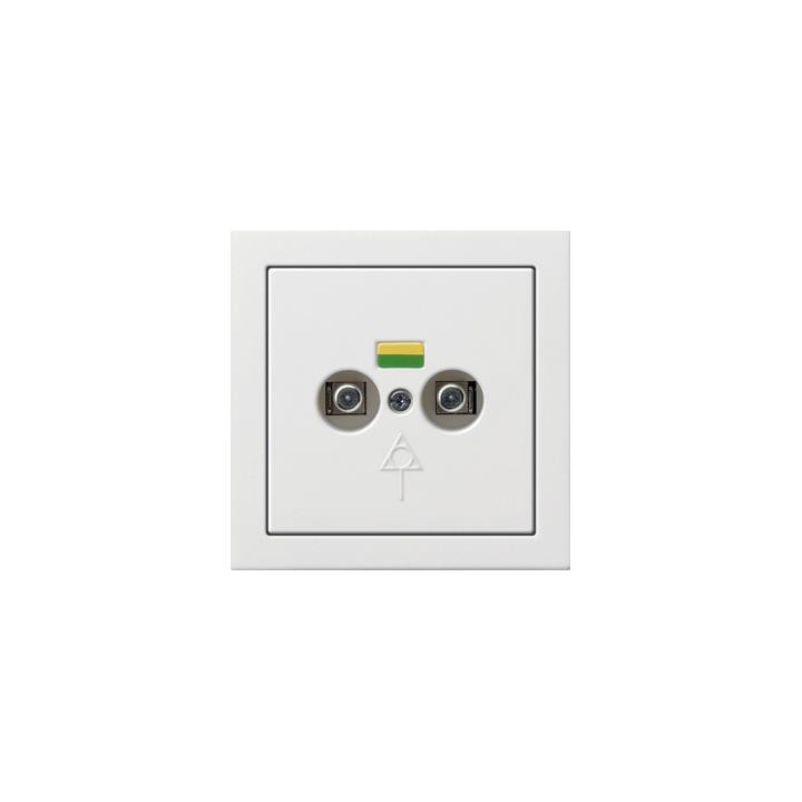 GIRA 0405112 Potenzialausgleich-Dose 2f Flächenschalter Reinweiß