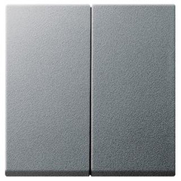 GIRA 029526 Wippe 2f System 55 Farbe Alu
