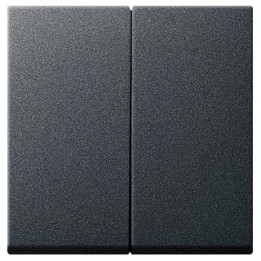 GIRA 029528 Wippe 2f System 55 Anthrazit