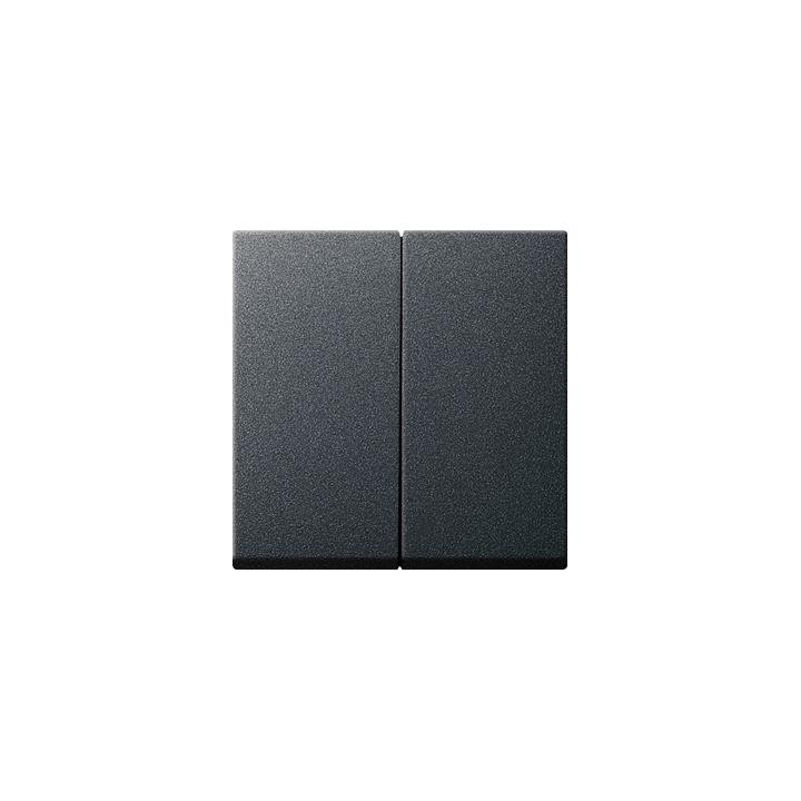 GIRA 029528 Wippe 2f System 55 Anthrazit