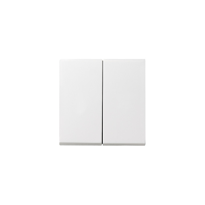 GIRA 029527 Wippe 2f System 55 Reinweiß matt