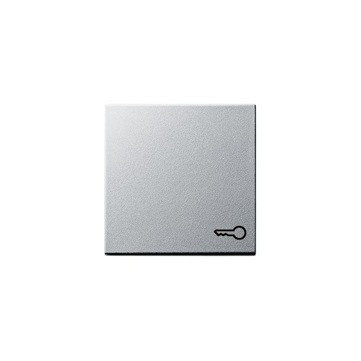 GIRA 028726 Wippe Symb. Tür System 55 Farbe Alu