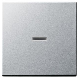 GIRA 029026 Wippe Kontrollf. System 55 Farbe Alu