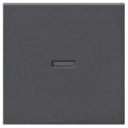 GIRA 029028 Wippe Kontrollf. System 55 Anthrazit