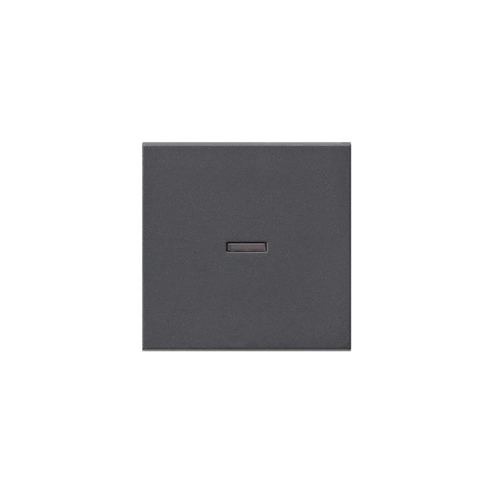GIRA 029028 Wippe Kontrollf. System 55 Anthrazit