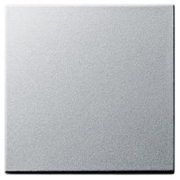 GIRA 029626 Wippe System 55 Farbe Alu