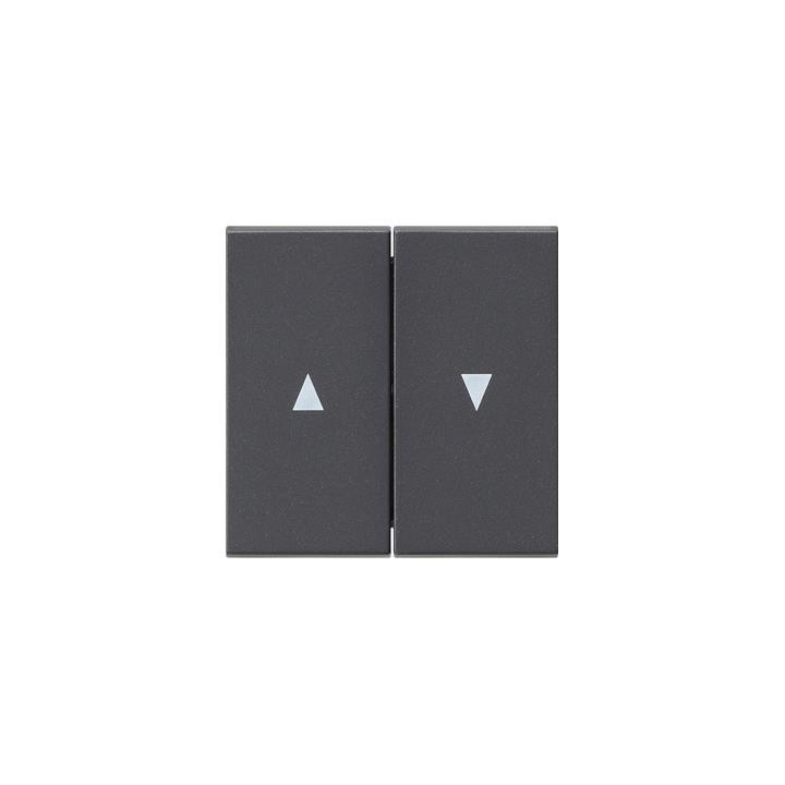 GIRA 029428 Wippe 2f Pfeilsymbol System 55 Anthrazit