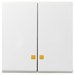 GIRA 063103 Wippe 2f Kontrollf. System 55 Reinweiß