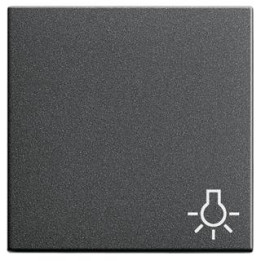 GIRA 028528 Wippe Symb. Licht System 55 Anthrazit