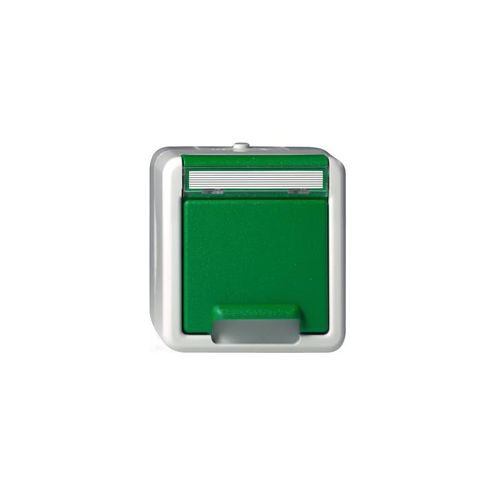 GIRA 044530 SCHUKO-Steckdose Klappdeckel GN + Beschriftungsfeld WG AP Grün