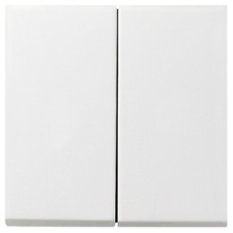 GIRA 0295112 Wippe 2f Flächenschalter Reinweiß