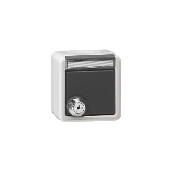 GIRA 044930 SCHUKO-Steckdose Klappdeckel Schloss gleich + Beschriftungsfeld WG AP Grau