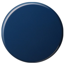 GIRA 091646 Wippe Tastschalter AusWe S-Color Blau