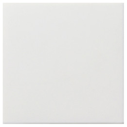 GIRA 2101112 KNX Objektregler Tasterschnittst. 4f Flächenschalter Reinweiß