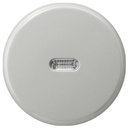 GIRA 091442 Wippe Tastschalter Kontrollf. S-Color Grau