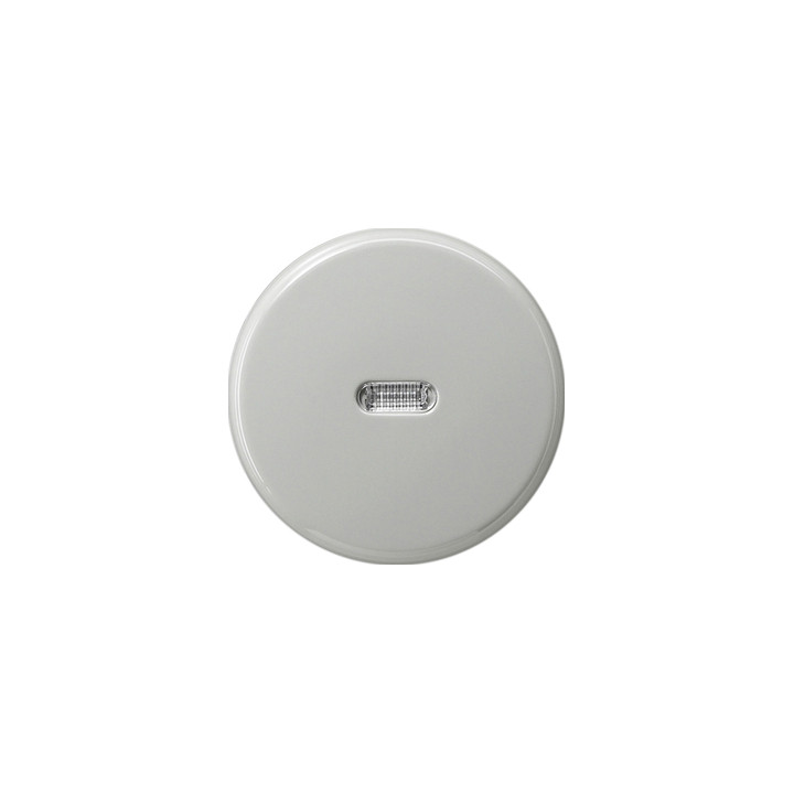 GIRA 091442 Wippe Tastschalter Kontrollf. S-Color Grau