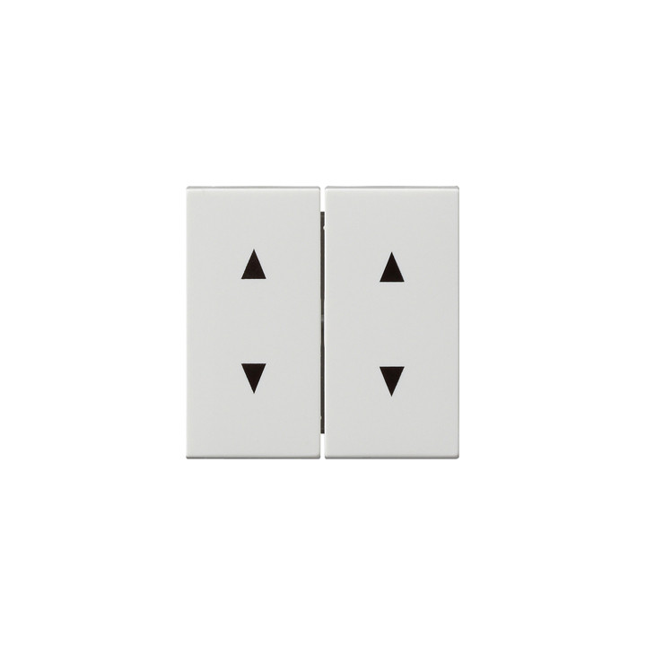 GIRA 115003 Wippe 2f Pfeilsymbole System 55 Reinweiß