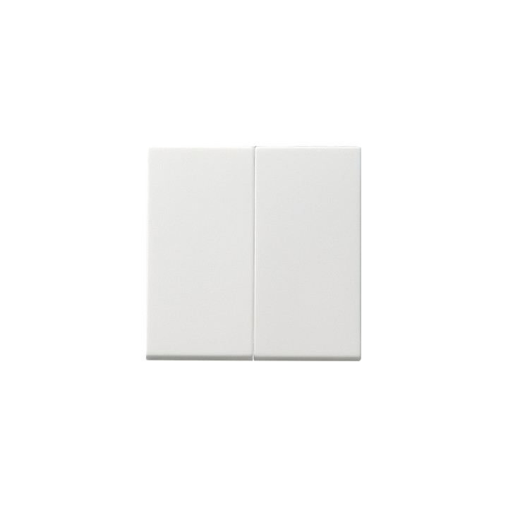 GIRA 091503 Wippe 2f Tastschalter System 55 Reinweiß