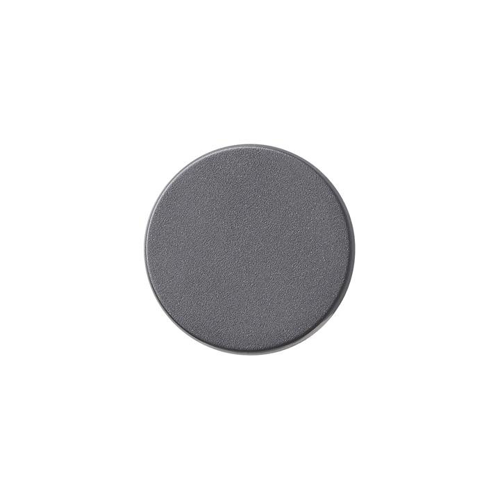 GIRA 091028 Dimmerknopf System 55 Anthrazit