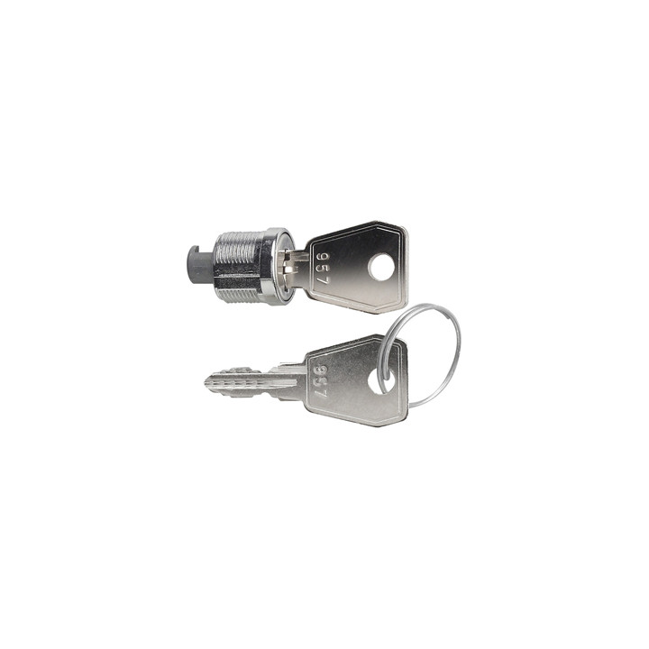GIRA 144400 Schloss + 2 Schlüssel Gira TX_44