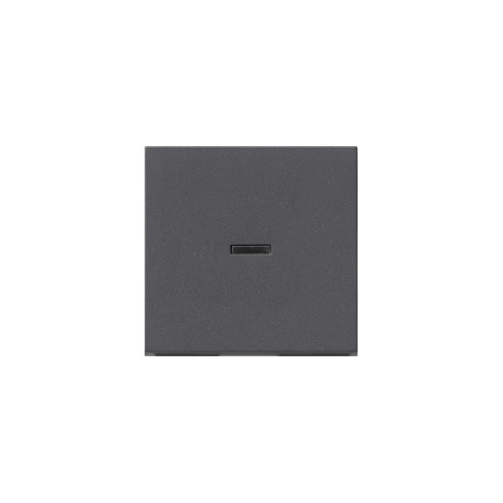 GIRA 091428 Wippe Tast-Kontrollschalter System 55 Anthrazit