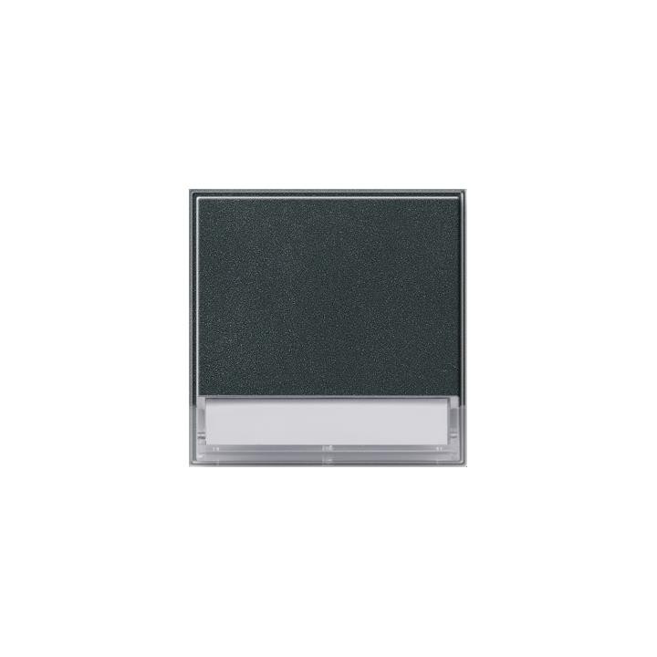 GIRA 067667 Wippe Beschriftungsfeld Gira TX_44 (WG UP) Anthrazit