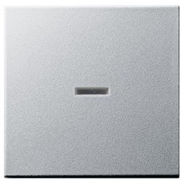 GIRA 091426 Wippe Tast-Kontrollschalter System 55 Farbe Alu