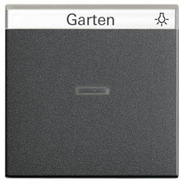 GIRA 067028 Wippe Kontrollf. + Beschriftungsfeld System 55 Anthrazit