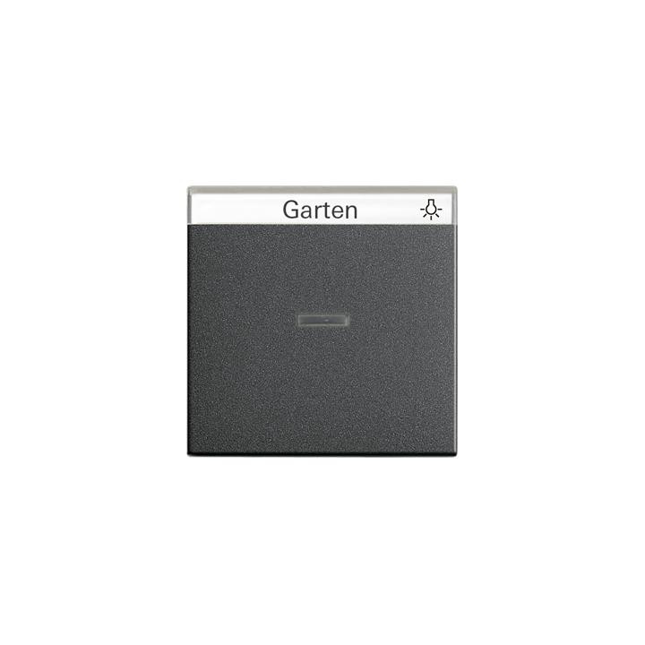 GIRA 067028 Wippe Kontrollf. + Beschriftungsfeld System 55 Anthrazit