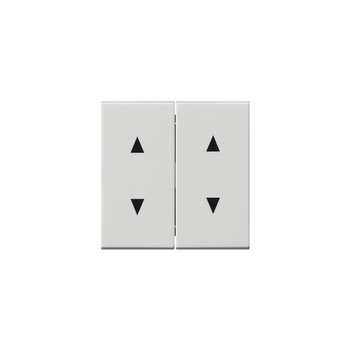 GIRA 115027 Wippe 2f Pfeilsymbole System 55 Reinweiß matt