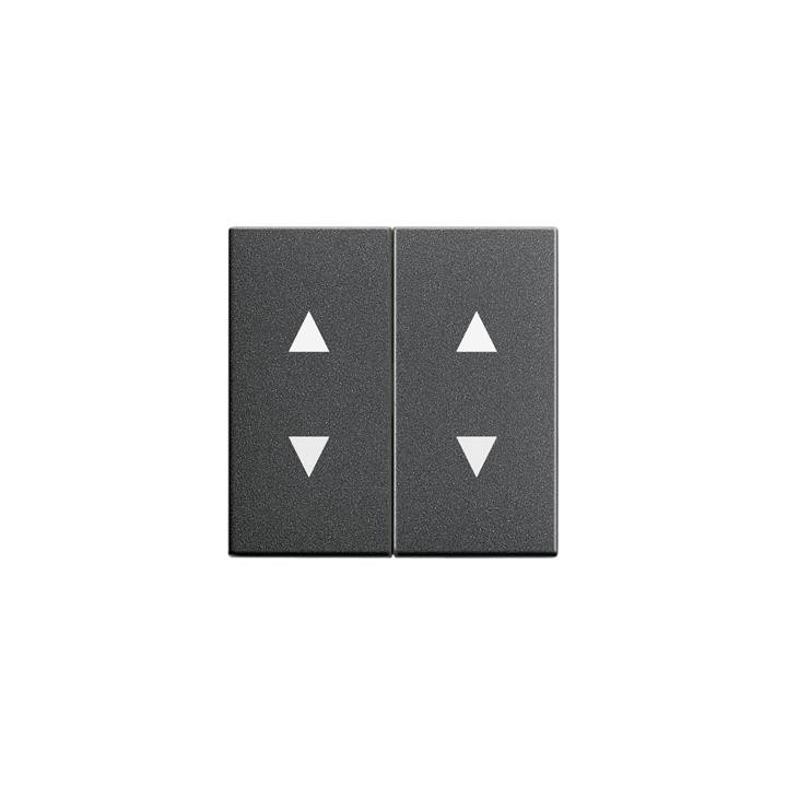 GIRA 115028 Wippe 2f Pfeilsymbole System 55 Anthrazit