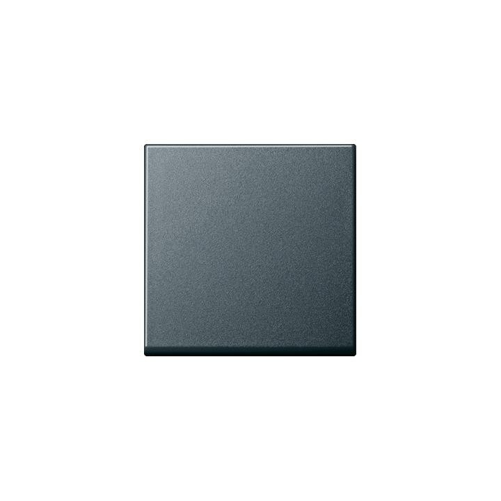 GIRA 091628 Wippe Tastschalter AusWe System 55 Anthrazit