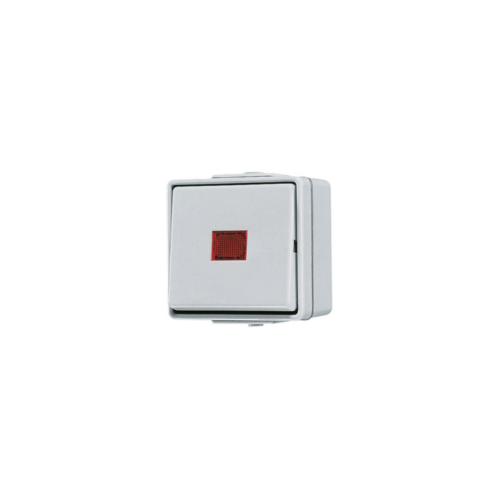 Jung 606KOW Wipp-Kontrollschalter 10 AX 250 V ~