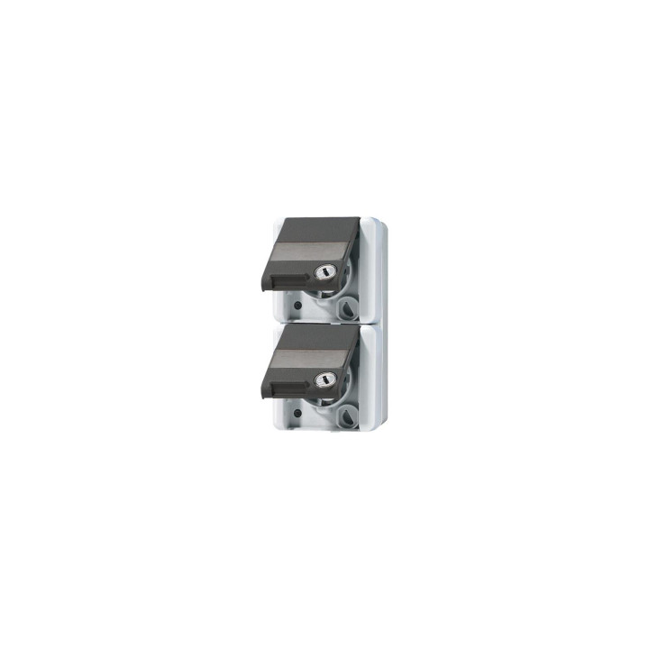 Jung 822NAWSL SCHUKO 2fach-Steckd. m. Sicherh. senkr.