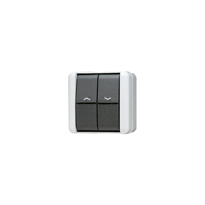 Jung 809VW Jalousie-Wippschalter 10 AX 250 V ~