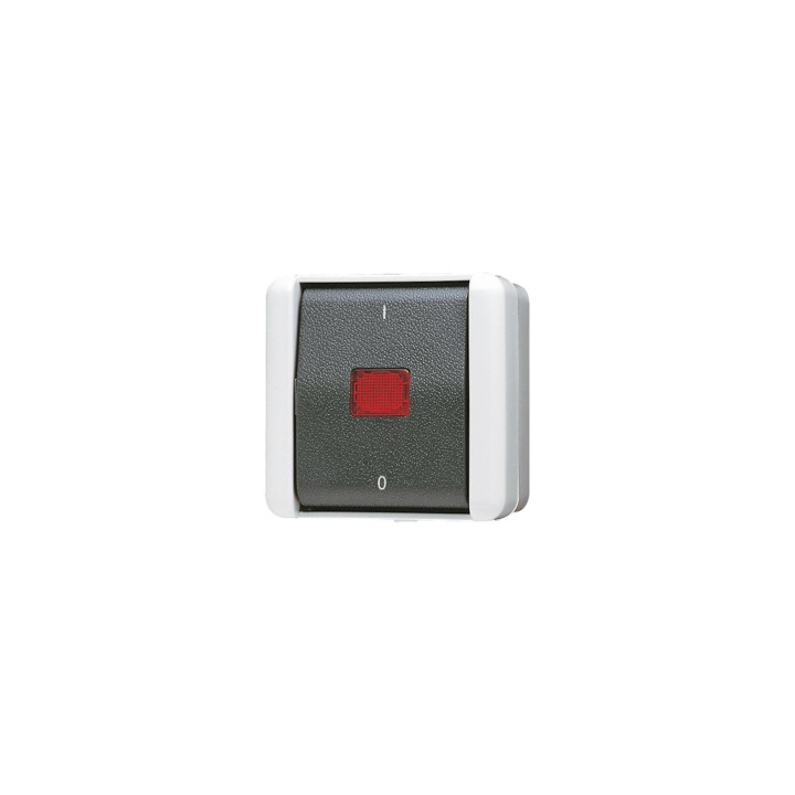 Jung 802KOW Wipp-Kontrollschalter 10 AX 250 V ~