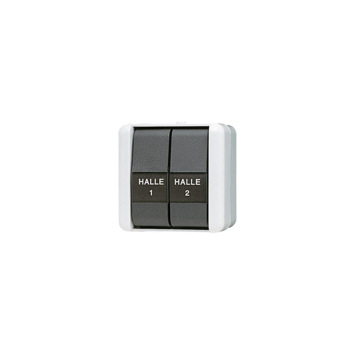 Jung 839NAW Doppel-Taster 10 AX 250 V ~