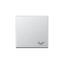 Jung A590LAL Wippe m. Symbol "Licht" - aluminium