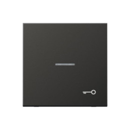 Jung AL2990KO5TAN Wippe f. Schalter/Taster KO — anthrazit (lackiertes aluminium)